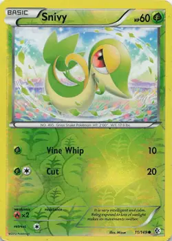 Snivy Reverse Holo Common Boundaries Crossed 11/149 MP D11 - Image 1