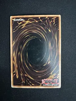 Konami Yu-Gi-Oh! TCG 11-Card Lot Blue-Eyes White/Ultimate, Insect Queen Holo - Image 4