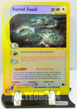 Pokemon TCG Card - Buried Fossil (Skyridge Set) 47/144 Reverse Holo Common - Image 1