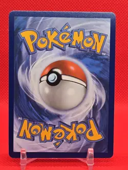 Ninjask #137 Shedinja #144 Connecting Art IR NM - Pokemon TCG Mega Evolution - Image 3