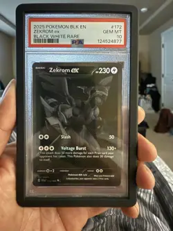2025 Pokemon Zekrom EX Black White Rare GEM MT 10 Card - Image 1