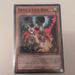 SR14-EN023 Droll & Lock Bird Common 1st Edition NM Yugioh Card - Image 1