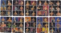 (Full Set of 32 Checklist Cards) 2005 WWE ANIMOTION LENTICULAR (Italy Exclusive) - Image 1