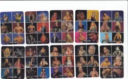 (Full Set of 32 Checklist Cards) 2005 WWE ANIMOTION LENTICULAR (Italy Exclusive) - Image 2