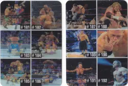 (Full Set of 32 Checklist Cards) 2005 WWE ANIMOTION LENTICULAR (Italy Exclusive) - Image 4