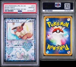 PSA 10 Eevee SC 014/020 Shiny Collection BW 1st Edition Pokemon card US SELLER - Image 3