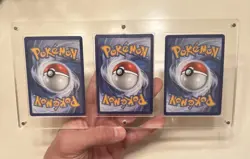 All 3!! Pokemon First Partner Piplup Chimchar Turtwig Partners with Acrylic Case - Image 3
