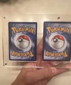 All 3!! Pokemon First Partner Piplup Chimchar Turtwig Partners with Acrylic Case - Image 4
