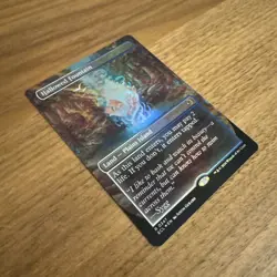 Foil Hallowed Fountain (Borderless) - 347 - MP - Lorwyn Eclipsed - Image 2
