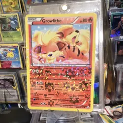 The Pokemon Company Pokemon TCG Growlithe RC4/RC25 Radiant Collection Holo - Image 1
