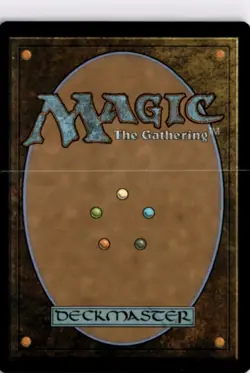 MTG EOE *Foil Plains (0262) (Borderless) 262 L NM Edge of Eternities - Image 2