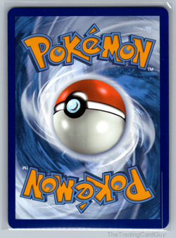 Chien-Pao ex 242/091 Sv: Paldean Fates Holo Pokemon TCG Hyper Rare - NM 003 - Image 2