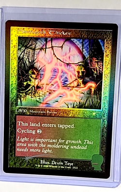 2026 MTG Magic the Gathering SLD Secret Lair Drop Foil #2522 Sheltered Thicket - Image 1