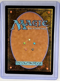 2026 MTG Magic the Gathering SLD Secret Lair Drop Foil #2522 Sheltered Thicket - Image 2