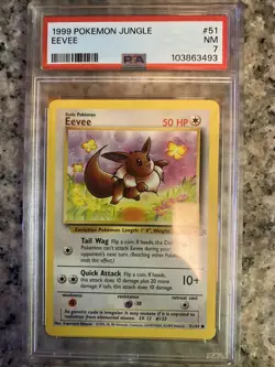 1999 Pokemon PSA 7 Eevee + Bonus Ungraded Eevee - WOTC Era Card Bundle - Image 1