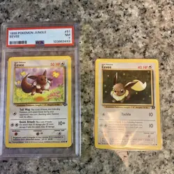 1999 Pokemon PSA 7 Eevee + Bonus Ungraded Eevee - WOTC Era Card Bundle - Image 5
