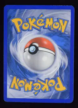 Groudon Holo - 5/106 - Emerald - Pokemon Card - Image 2
