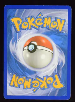 Yveltal EX - 79/146 - XY - Pokemon Card - Image 2