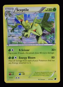 Sceptile Holo - 8/116 - Plasma Freeze - Pokemon Card - Image 1