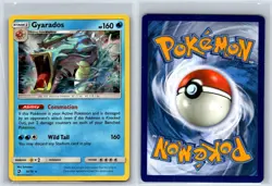Gyarados 20/70 Holo Rare Dragon Majesty NM Pokemon TCG - Image 3