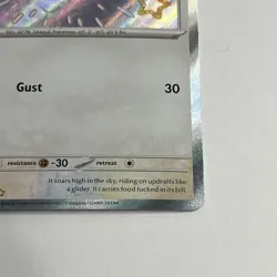 Wingull - Paldean Fates - Shiny Holo Rare - NM 203/091 - Pokemon TCG - Image 4