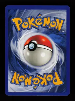 Mudkip 59/109 Common Ruby & Sapphire Pokemon Cards - Image 2