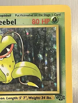Victreebel 14/64 Holo Rare Jungle 1999 Pokemon EN HP Vintage Grass Unlimited - Image 3