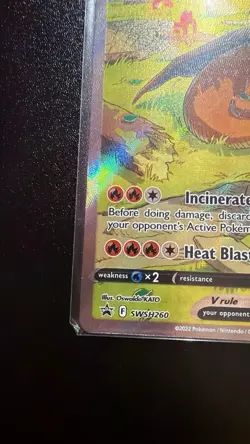 Charizard V Swsh260 Swsh: Sword & Shield Promo Cards Holo - Image 5