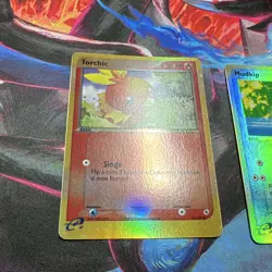 Pokemon TCG 3 Starter Lot Mudkip 60, Torchic 74/109 & Treecko 80/97 Reverse Holo - Image 4