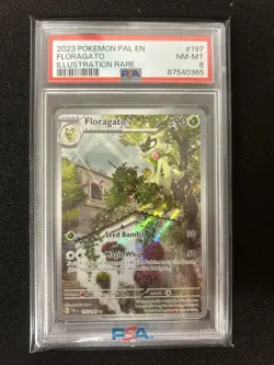 PSA 8 Pokemon TCG Floragato Scarlet & Violet - Paldea Evolved 197/193 Holo - Image 1
