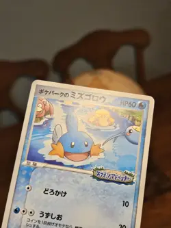 Pokemon Mudkip Pokepark Grand Opening Japanese Promo 048/PCG-P Mint US SELLER - Image 3