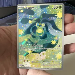 Pokemon TCG Budew 221/217 Ascended Heroes Illustration Rare NM - Image 4