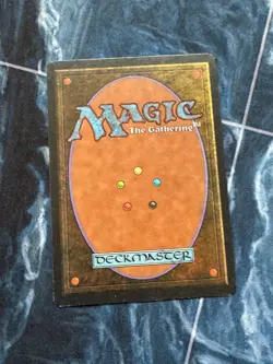 MTG Arabian Nights Edition, Sinbad 1993 Vintage Magic LP - Image 2