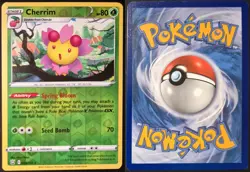 Cherrim 008/163 Holo Rare Battle Styles Pokemon Reverse Holo Near Mint - Image 1