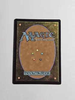 Mtg Forest 258 Full-Text Lands Secret Lair Drop NM - Image 2