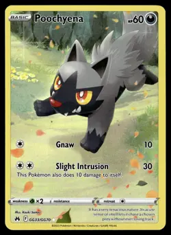 Poochyena GG33/GG70 Holo Crown Zenith Galarian Gallery Pokemon NM - Image 1