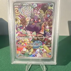 Pokemon TCG SV04 Paradox Rift Morpeko 206/182 Illus Rare Holo PSA 10 EN 2023 - Image 4