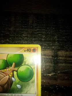 Nintendo Pokemon TCG Bonsly DPBP#213 Diamond & Pearl Common Regular English 2007 - Image 2