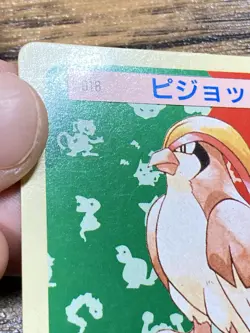 Pokemon Carddass Card Topsun No. 18 Pidgeot Pocket Monsters Green Back - Image 3
