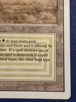 MTG Savannah Revised Edition Regular Dual Land MP/HP - Image 4