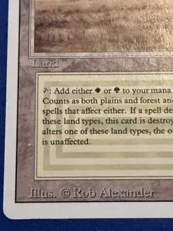 MTG Savannah Revised Edition Regular Dual Land MP/HP - Image 5