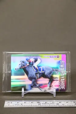 Biwa Hayahide Thoroughbred Horse Wafer Card BANDAI Japanese No.2-022 - Image 2