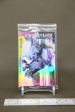 Biwa Hayahide Thoroughbred Horse Wafer Card BANDAI Japanese No.2-022 - Image 3