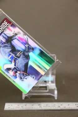 Biwa Hayahide Thoroughbred Horse Wafer Card BANDAI Japanese No.2-022 - Image 5