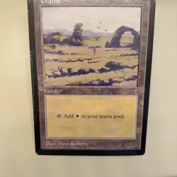 MTG 1997 *Sealed Pack of 10 Basic Lands Arena League 6x9 Oversized cards - Image 1