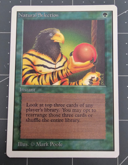 MTG ⭐ Unlimited Edition ⭐ Natural Collection ⭐ Vintage Legacy ⭐ Reserved List - Image 2