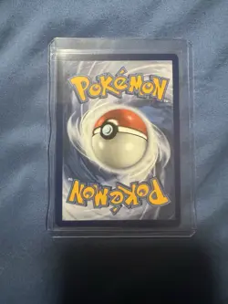 Morpeko EX Special Illustration Rare 117/084 Near Mint Pokemon TCG Pitch Black - Image 2