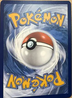 Fidough 069 Holo P Scarlet & Violet Promo Pokemon NM - Image 2