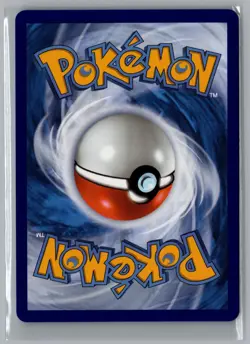 Squirtle 039 spanish* Holo Promo ME: Mega Evolution Promo Pokemon Near Mint - Image 2