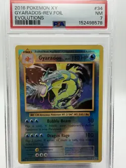 2016 Pokemon XY Evolutions - #34 Gyarados [Reverse Foil] Holo - PSA 7 - Image 2